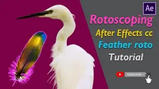 rotoscoping in after effects cc I feather roto brush
