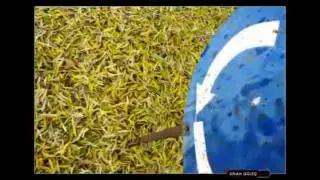 Seher Vakti.flv