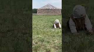 Құлыншағым аман болсын !
