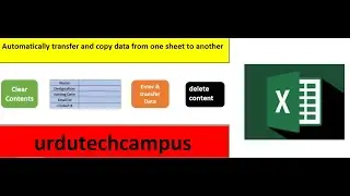 how to automatically transfer data from one sheet to other in excel URDU\ tip & trick for freelancer