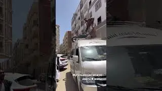СКОЛЬКО МУСУЛЬМАНАМ МОЖНО ИМЕТЬ ЖЁН?  