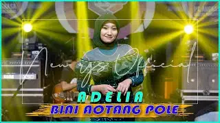 Adelia - Bini Aotang Pole (Official Live Music Video) | New RGS