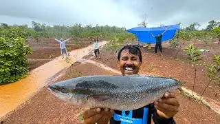 আজ এক নতুন ধরণের মাছ খেলাম | sea fish recipe | Village Cooking Vlog
