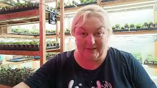 🌸Информация для покупателей. 🌸Огромная просьба прослушать внимательно . 🌸