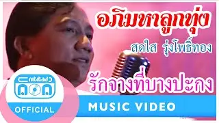 รักจางที่บางปะกง - สดใส รุ่งโพธิ์ทอง (นิธิทัศน์) I อัลบั้ม สุดยอดลูกทุ่งเสียงทอง (ภาพในสตูดิโอ)