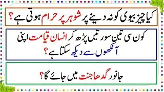 Donkey Go To Heaven, Dilchasp Malumati Islamic Paheliyan, Paheliyan in Urdu, Common Sense Quiz ,