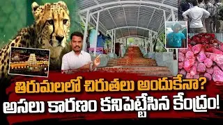 Tirumala Insident: తిరుమలలో చిరుతలు అందుకేనా? అసలు కారణం కనిపెట్టేసిన కేంద్రం! | Gundusoodhi - PINN