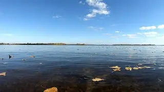 Рыбалка и отдых на Волге. Осенние краски и походная кухня.