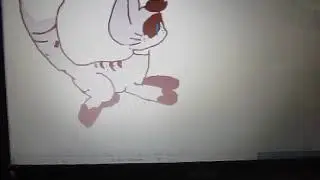 Running cat MINA CORTOS