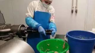 Финский сервелат