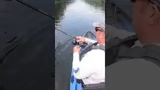Giant Minnow! Fallfish on a Cheap Temu Duck Lure! #fishing #bassfishing #kayakfishing