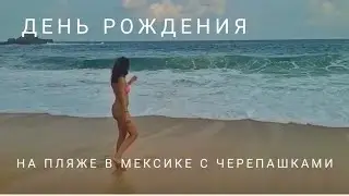 Влог. МОЙ ДЕНЬ РОЖДЕНИЯ В ОАХАКЕ НА ПЛЯЖЕ/ СКОЛЬКО ЧЕРЕПАШЕК!