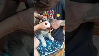 ставим клеймо, а что делать...