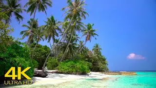 4K Video Ultra HD Unbelievable Beauty - Tropical Beach 4K