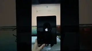 How to Reset iPad without Apple ID Password