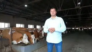 О ферме «Полудинское»