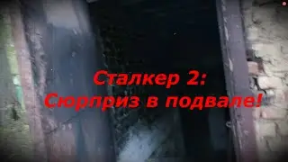 Strange Trash TV - Сталкер 2: Сюрприз в подвале!