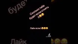 8 сентября 2021 г.