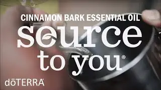 doterra Essential Oils Cinnamon Bark Sourcing Story