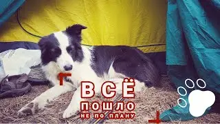 Всё пошло не по плану