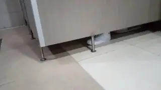 Are you pooping?