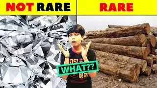 How Wood Is Rarer Than Diamond?