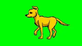 Dog Walking free green screen Animation 4k