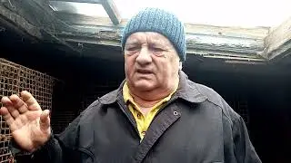 как правильно отсадить молодняк