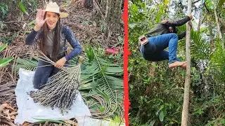 FIZEMOS UMA GRANDE COLHEITA DE AÇAI! @XINGURUSTICO SUBIU IGUAL MACACO NO PÉ 🤣