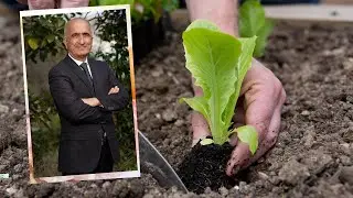 İLAÇLARDAN KURTULMAK İÇİN BAHÇEYE ÇIKIN