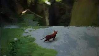 Film - Stray Part 1