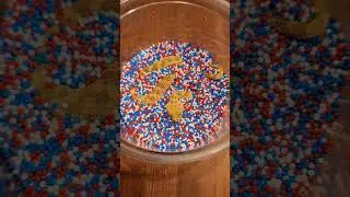 Baby sand viper disappears in sprinkles! 