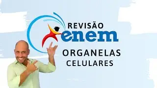Revisão Enem - Organelas (23-10)