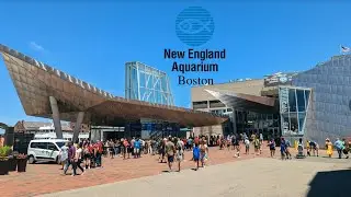 What Is Inside The New England Aquarium Boston
