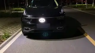 Dynamic Led Toyota Emblem 2021