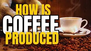 Where Does COFFEE Really Come from? It's DISCOVERY, HISTORY and Production Methods.
