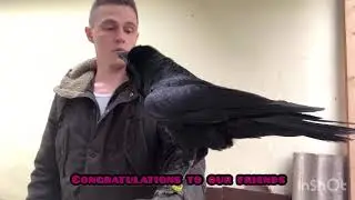 С Днём Победы товарищи, говорит вам ворон Флоки