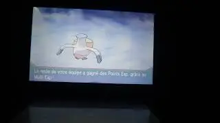 20~ Nosferapti Chromatique Raté / Fail Shiny Zubat en 4935 rencontres