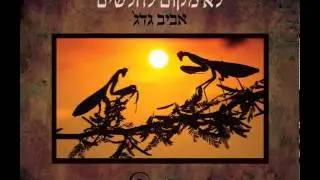 לא מקום לחלשים - אביב גדג'