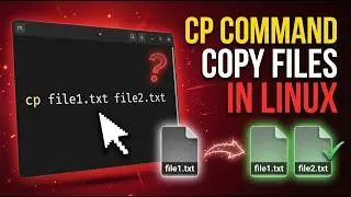 How to Copy Files in Linux (cp Command Explained)