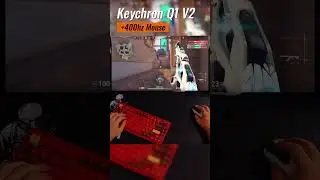 Keychron Q1 V2 - POV with 4000Hz Mouse