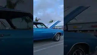Mississippi Queen #donutderelicts #classiccar #chevelle #musclecar #bigblock #396 #1970chevelle