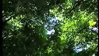 Teoria del Color Parte - 1