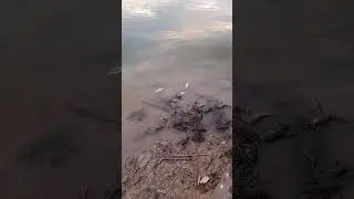 24 мая 2024 г.