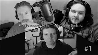 The Perspective on Introspection Podcast | The Meaning of Determination 