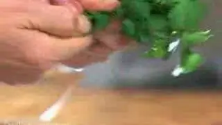 How to make Guacamole