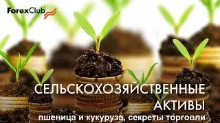 24.01.2017. Пшеница и кукуруза: секреты торговли.