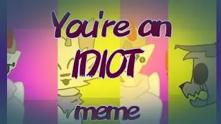 You're an Idiot // MEME // Collab