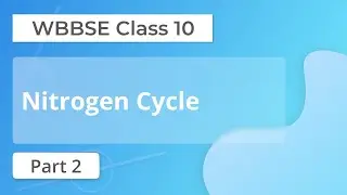 02 | Nitrogen cycle Class 10 | WBBSE class 10 Life Science Chapter 5.1| 😇😇