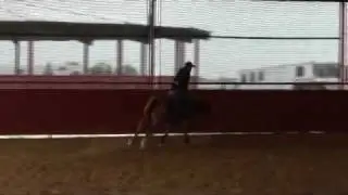 3 yr old Wimpy.wmv